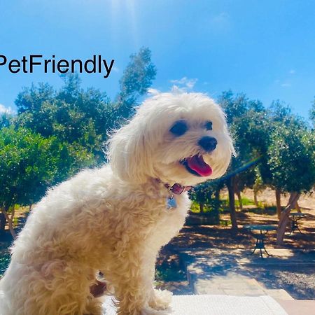 Tuineje Bungalow Sequero #Pet Friendly מראה חיצוני תמונה