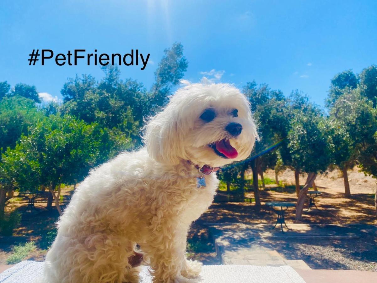 Tuineje Bungalow Sequero #Pet Friendly מראה חיצוני תמונה